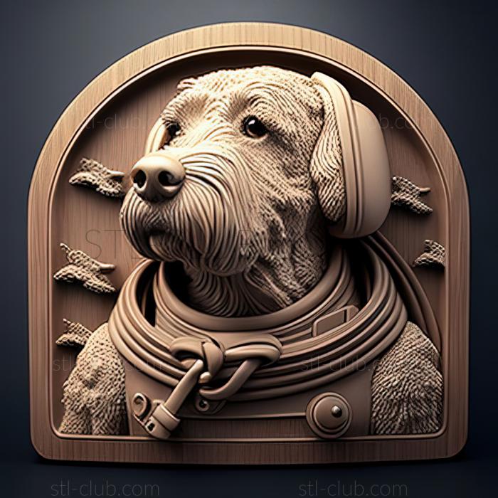 st Asterisk cosmonaut dog famous animal